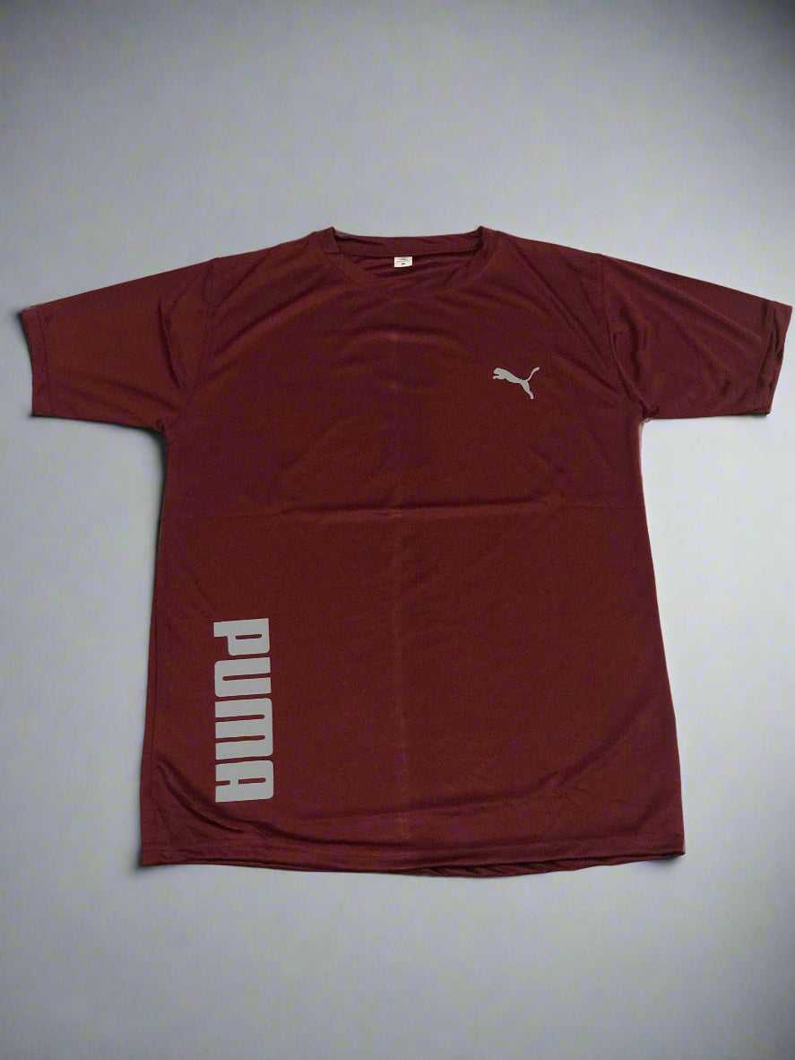 Pack of 2 Dry-Fit T-Shirts For Gym