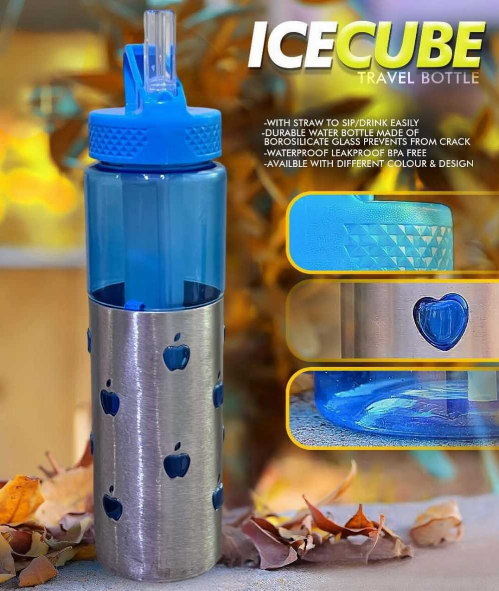 Stainless Steel Gym Bottle – Insulated Sports Sipper with Removable Ice Pack